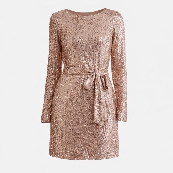 Crystal Sky Dresses & Skirts - Elegant Long Sleeve Sequin Dress in Rose Gold
